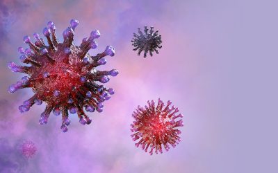 Coronavirus – How to deal with it