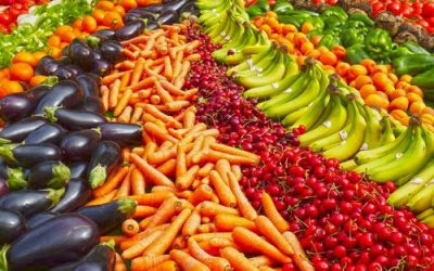 What is boycotting your weight loss efforts? It is NOT your lack of willpower!