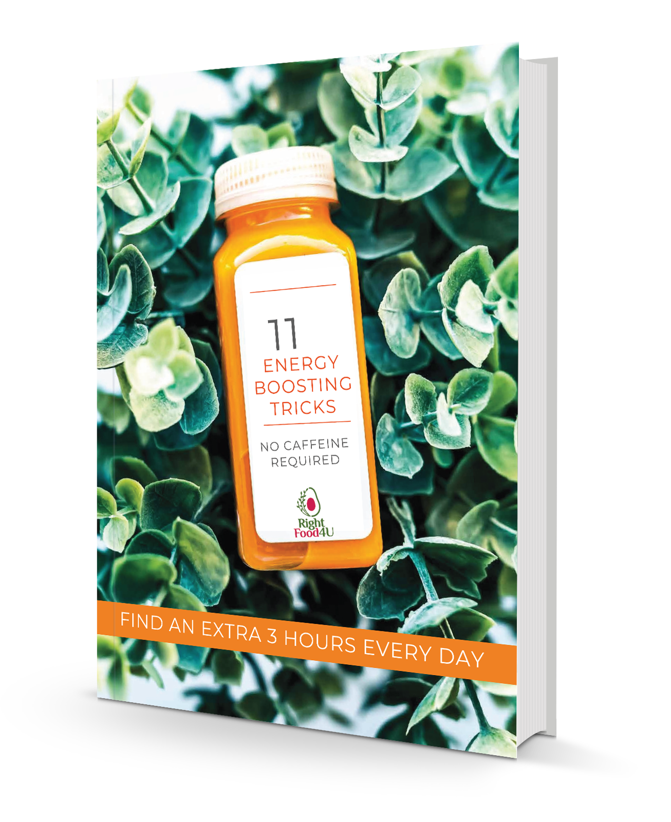Ilona 11 Energy Tips Eat to turn back the clock